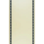 Açık Camel Kenarı Çiçek Desenli İpek Şal  Mısırlı 1951