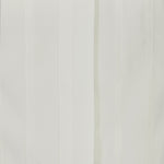 Ekru Pilise Detaylı Kadın Gömlek